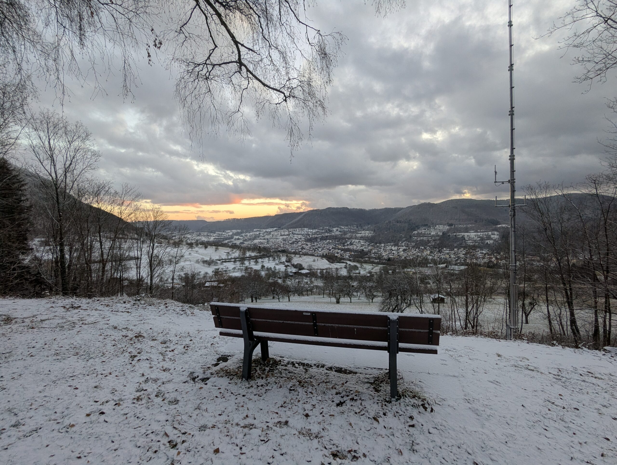 Waldheim Germania Kuchen